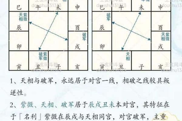 紫微斗数之子女宫与诸星，破军星在子女宫是什么意思？