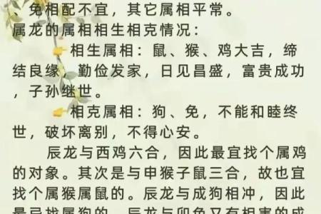 属龙姻缘配对