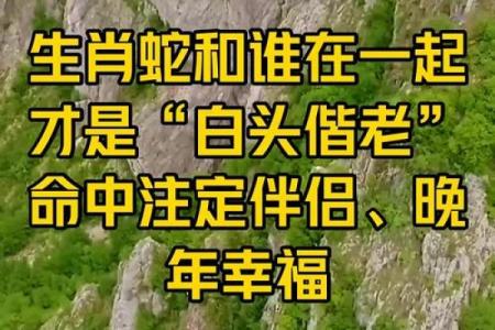 蛇和什么属相配对幸福