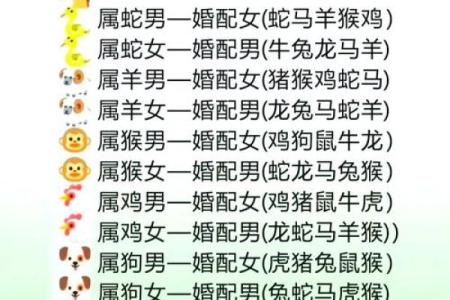属鼠正缘出现在哪年 属鼠人婚姻配对表