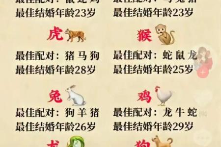 属相婚配表配对查询