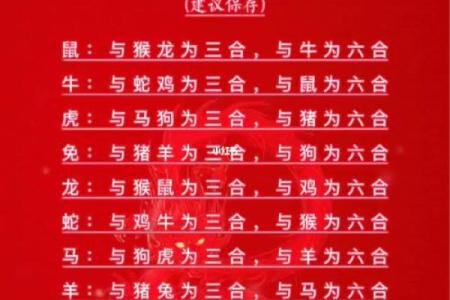 生肖男女配对大全,花果学说详解