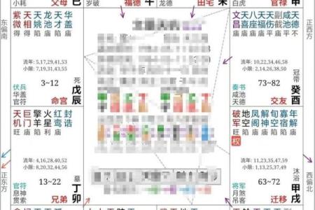 紫薇斗数 命盘是怎么看