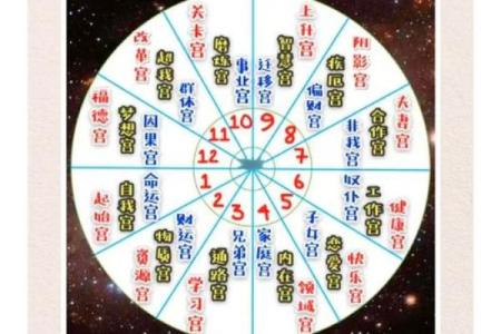 紫微斗数之人事十二宫的其他表意