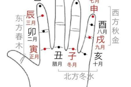 紫薇斗数与子平术