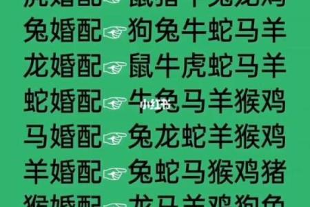 生肖婚姻更佳配对表大全