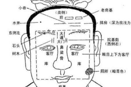 面相解析:额头面相算命图解