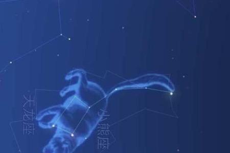 北极星姐姐是哪个星座的