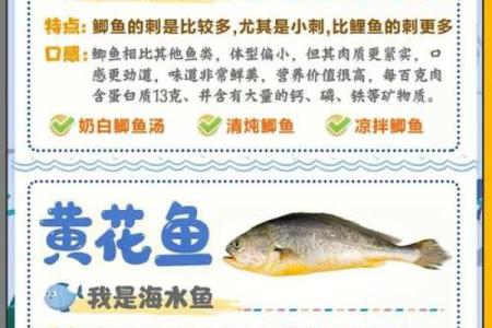 养鱼的喜忌:家庭养鱼风水讲究