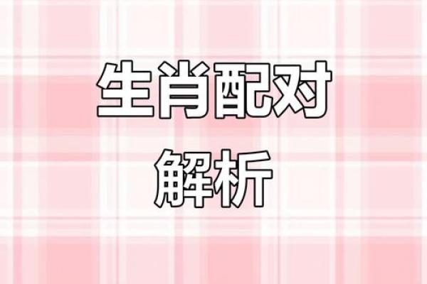 生肖配对，是什么道理？啥属相不合？终于明白了