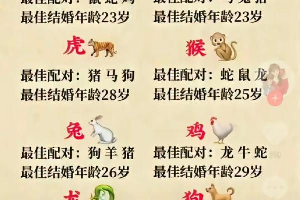 属相婚配十二生肖配对图表,属相婚配十二生肖配对图表图片? 属相婚配十二生肖配对图表,属相婚配十二生肖配对图表图片?