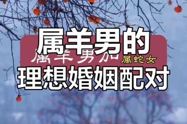 属羊的和什么属相配对 属羊的和什么属相配对