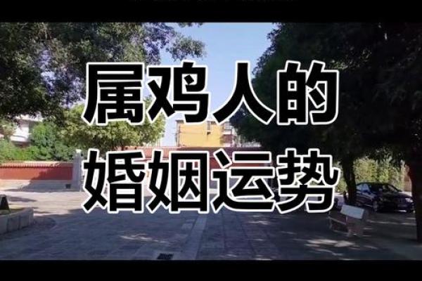 属鸡正缘出现在哪年 属鸡人婚姻配对表 属鸡正缘出现在哪年 属鸡人婚姻配对表