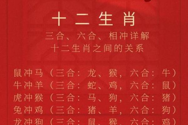 八字算命生肖相冲是什么意思 八字算命生肖相冲是什么意思