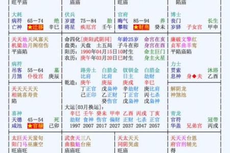 紫薇斗数流年命盘