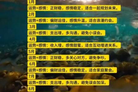 婚姻算命,1972年的男鼠配什么生肖蕞好