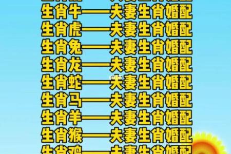 生肖配对什么生肖最好 最好的生肖组合