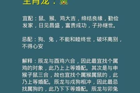 注定成为敌人的属相配对