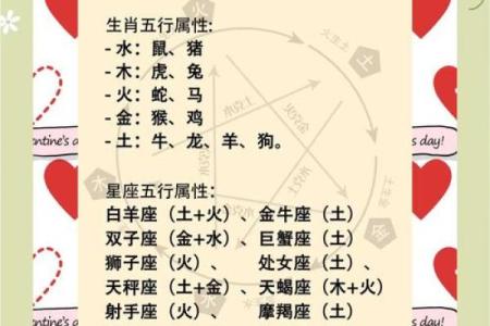 十二星座哪个生肖女最美丽