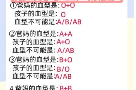 关于血型的婚姻综合症