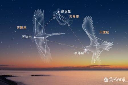 星座里的恒星有物理关联吗