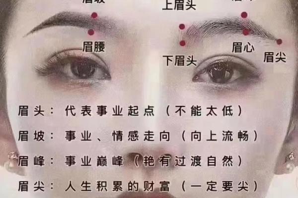 八字眉女人的特征及命运 八字眉女人的特征及命运