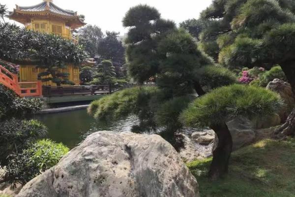 见了“黄大仙”，这事不一般，农民很为难