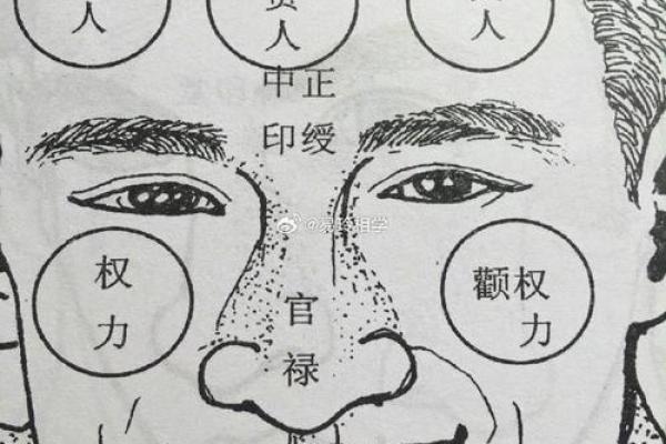 鼻头大的男人面相在风水中有哪些含义