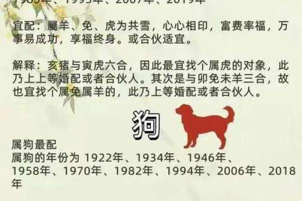 99年属什么今年多大 生肖配对