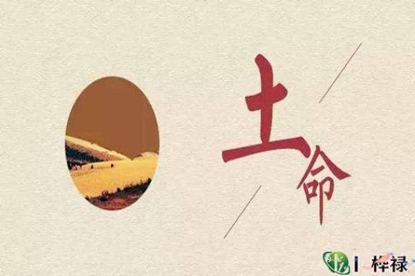 钗钏金命最怕什么相克 钗钏金命吉利方位 钗钏金命最怕什么相克 钗钏金命吉利方位