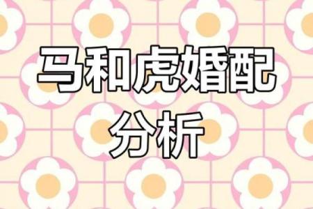 婚姻属相配对查询属马 哪些属相与属马最相配