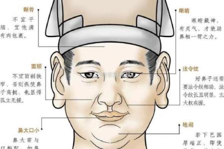 鼻头大的男人面相在风水中有哪些含义