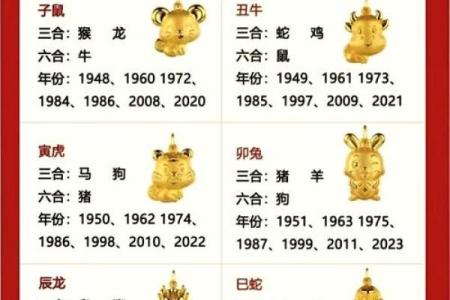 生肖配血型前途最远大TOP3