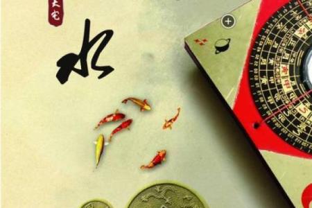 风水的方位_乌龟代表哪个方向