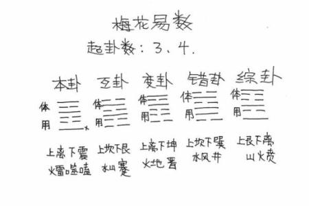 梅花易数紫薇斗数