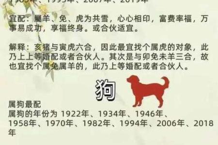 99年属什么今年多大 生肖配对
