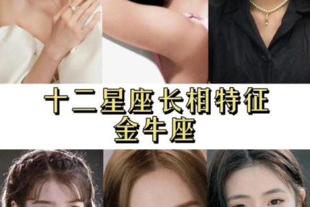 12星座中金牛座最适合什么大学