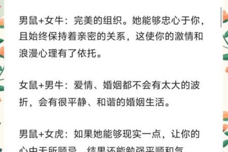 老鼠和什么属相最配对 老鼠和哪个属相最佳配对