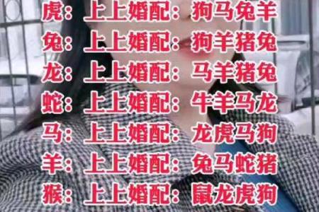 鼠狗生肖配对姻缘合适吗 鼠狗婚配的婚姻如何?