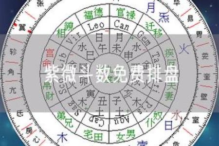 紫薇斗数星盘图片