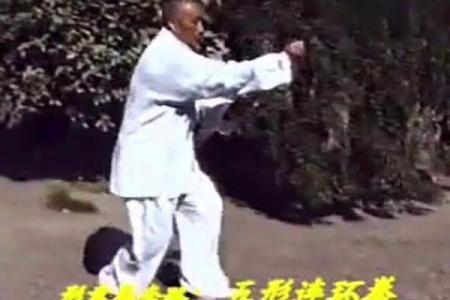 形意门秘传八字连环拳
