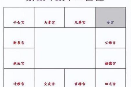 杨玉环紫薇斗数