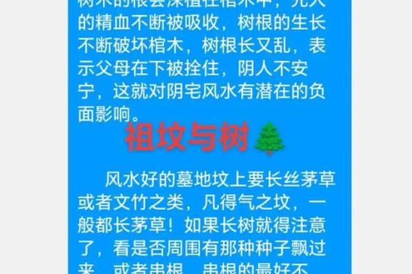 十大墓地风水禁忌有哪些 十大墓地风水禁忌有哪些