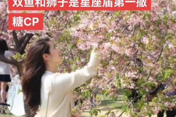 狮子座最佳配对第一名,男双鱼座女狮子座配对指数