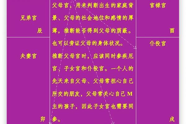 紫薇斗数12宫位