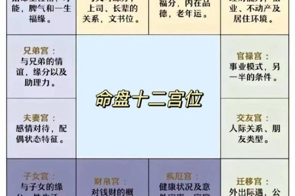 紫薇斗数12宫位