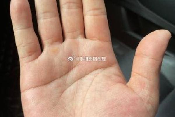 风水川字掌手相男人的命运解析 风水川字掌手相男人的命运解析