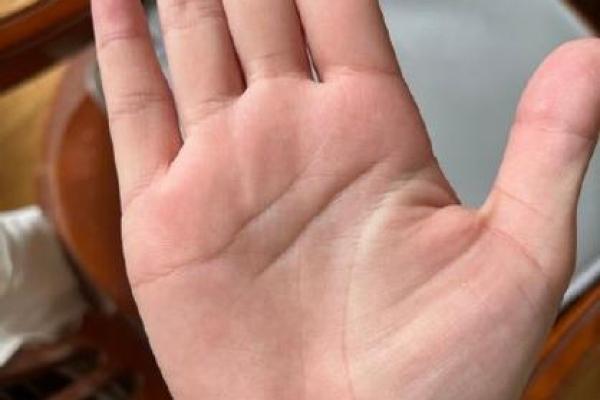 风水川字掌手相男人的命运解析 风水川字掌手相男人的命运解析