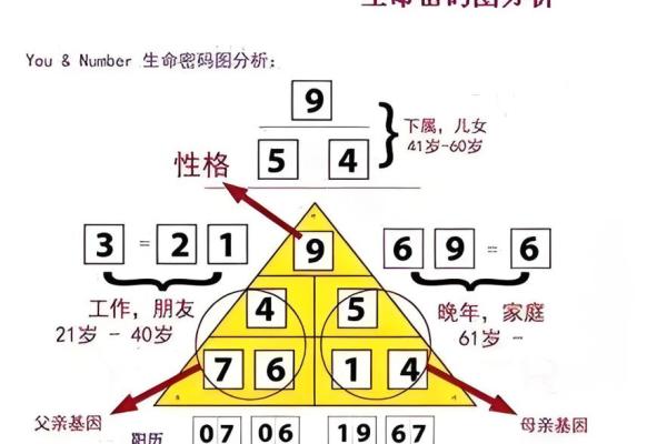 生命灵数8和几配对