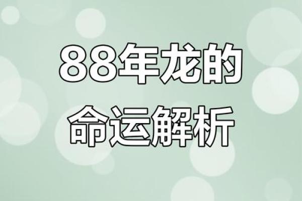 1988年生肖运势方位 1988年生肖运势方位